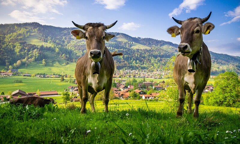 Erlebniswelt Allgäu 2027