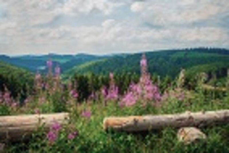 Hochsauerland 2027
