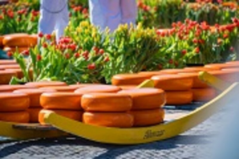 Der Käsemarkt in Alkmaar 2027