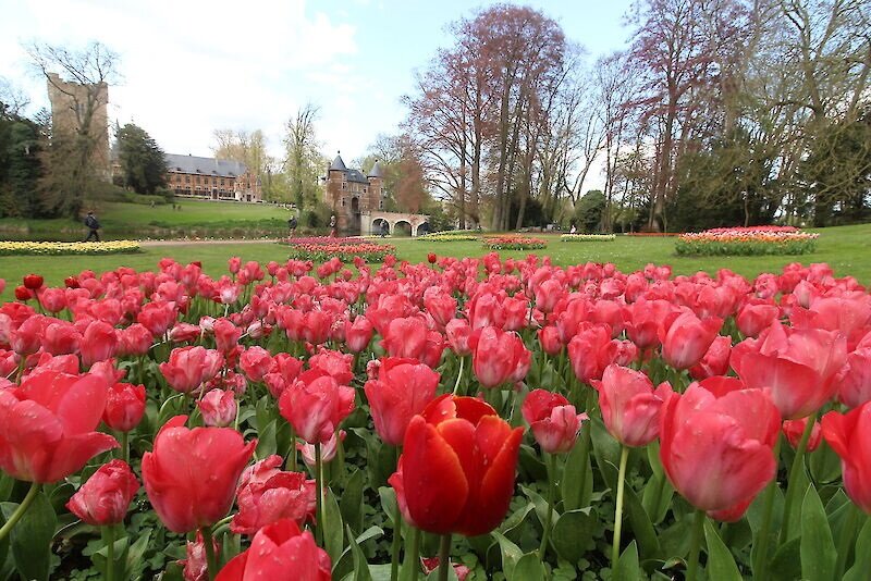 Floralia Brüssel 2027