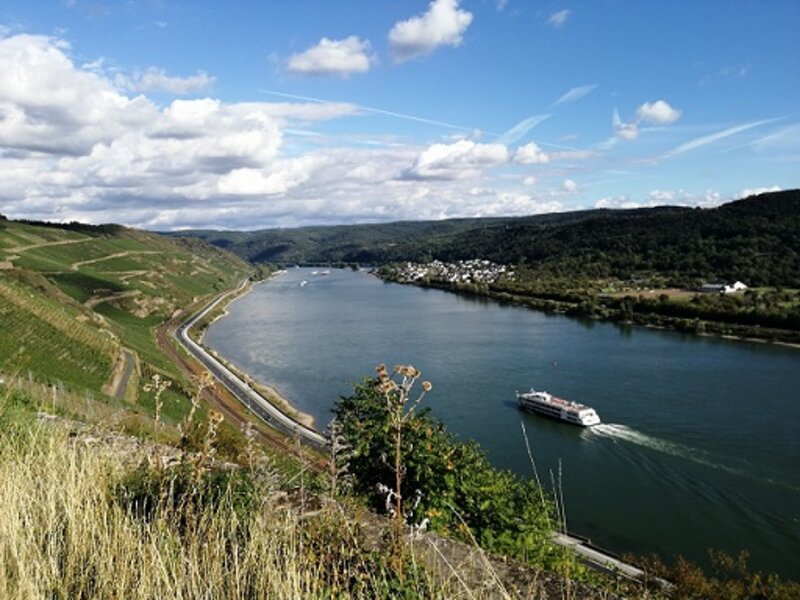 (Wein)wandern am Rhein 2027