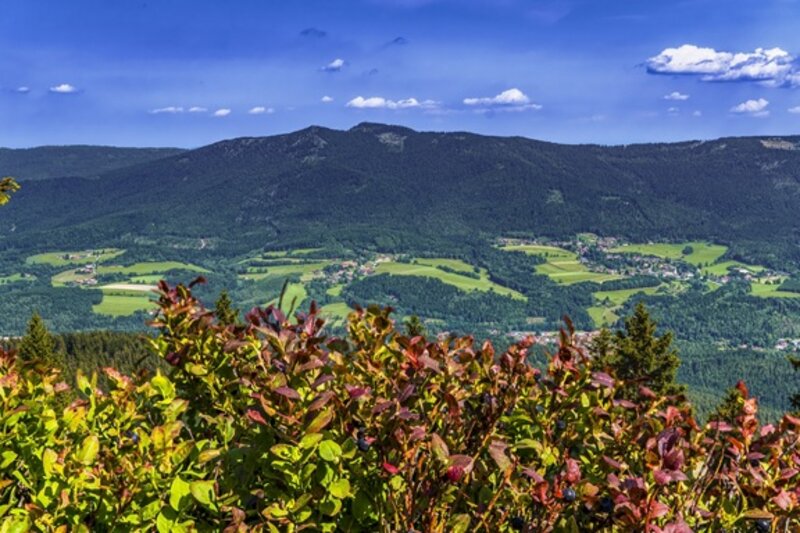 Zum Musikantenwirt im Bayrischen Wald 2027