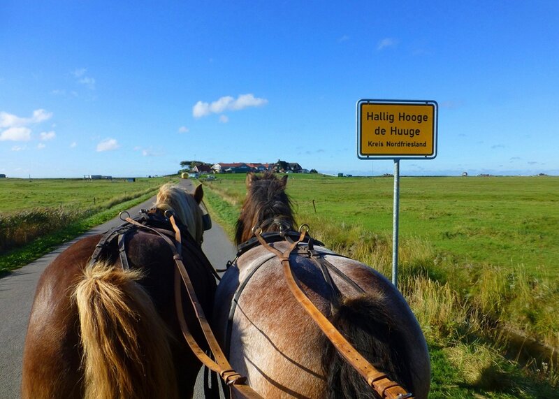 Sylt & und die Welt der Halligen 2027