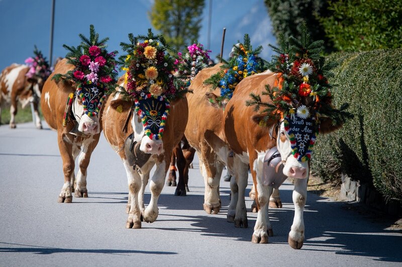 Almabtriebsfest Reith im Alpbachtal 2027